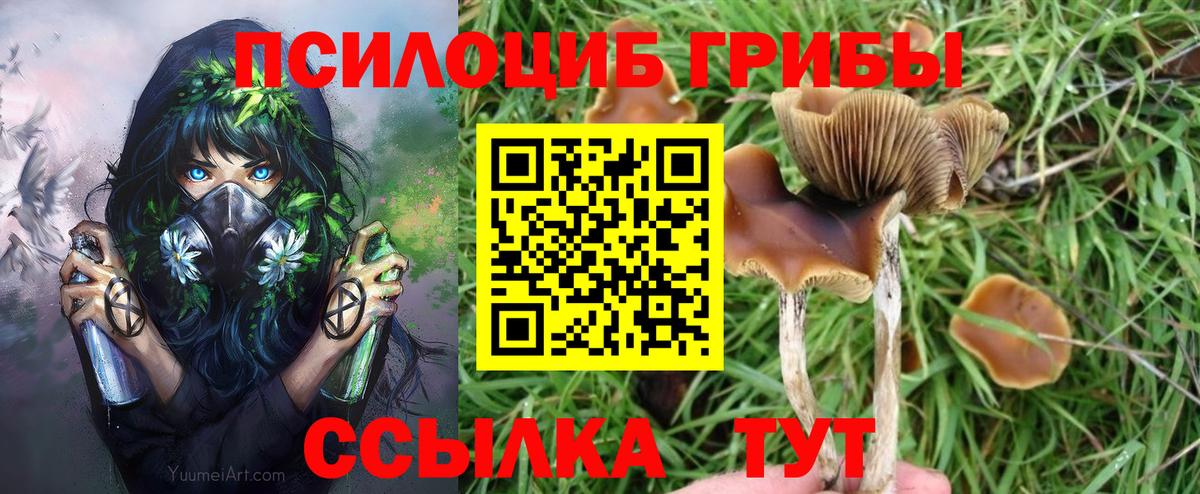 Галлюциногенные грибы Psilocybine cubensis  Вход с VPN  Псилоцибиновые грибы GOLDEN TEACHER  сколько стоит  Новочебоксарск 