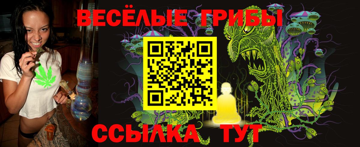 Галлюциногенные грибы Psilocybe Новочебоксарск